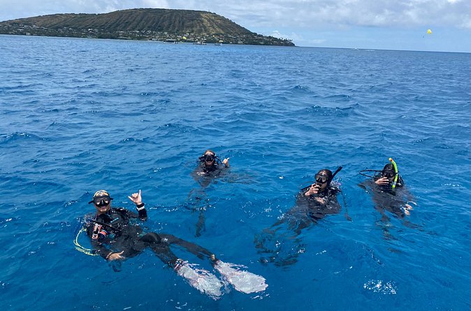 Certified Scuba Diving Along Two Shallow Reef Sites - Fish, turtles, and the reality of visibility