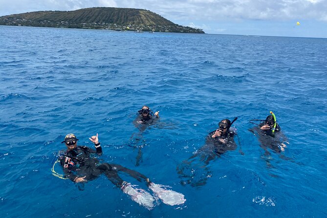 Certified Scuba Diving Experience in Honolulu - The shallower reef gives the morning a better rhythm