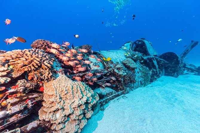 Certified Scuba Diving Experience in Honolulu - Health, fitness, and personal preparation