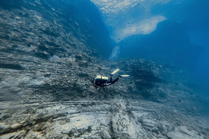 Certified Scuba Diving Experience in Honolulu - Weather and cancellation rules in plain English