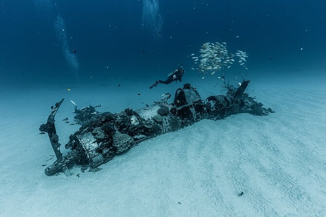 Certified Scuba Diving Experience in Honolulu - What the deep wreck or site demands