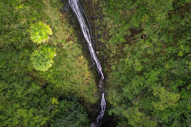 Chasing Waterfalls:Wild Hawaii Rappelling - The real appeal: reaching a waterfall by rope