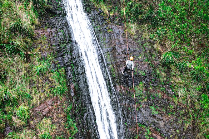 Chasing Waterfalls:Wild Hawaii Rappelling - Is $350 a good value?