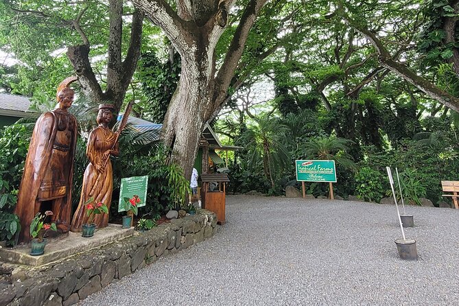 Circle Island 8hr Private Small Group Tour - Key points at a glance