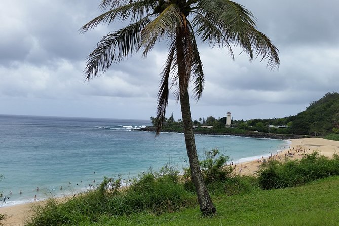 Circle Island 8hr Private Small Group Tour - A private way to see Oahu beyond Waikiki