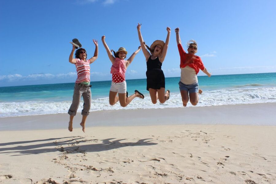 Circle Island: Swim with Turtles and Explore Paradise Oahu - Key points to know before you book