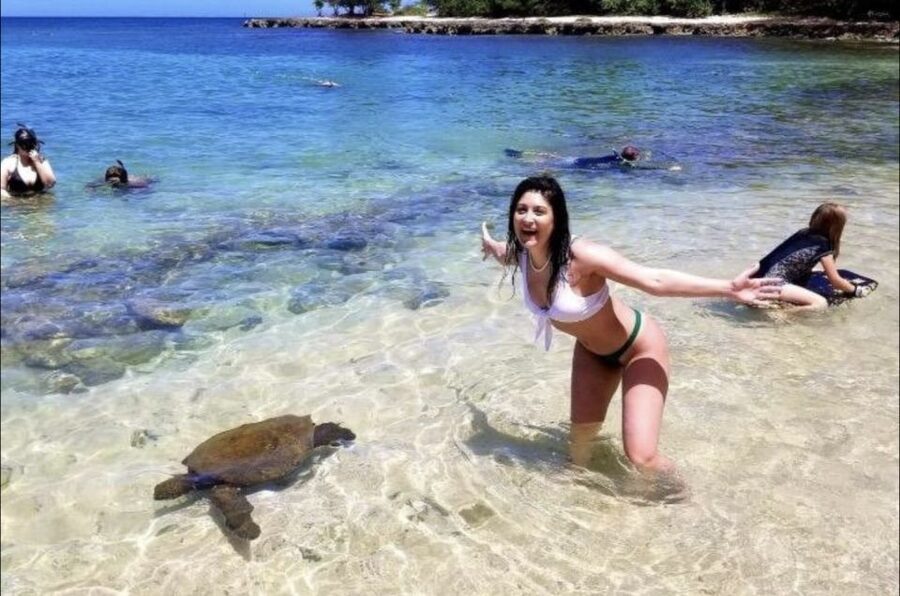 Circle Island: Swim with Turtles and Explore Paradise Oahu - Diamond Head and Halona Blowhole