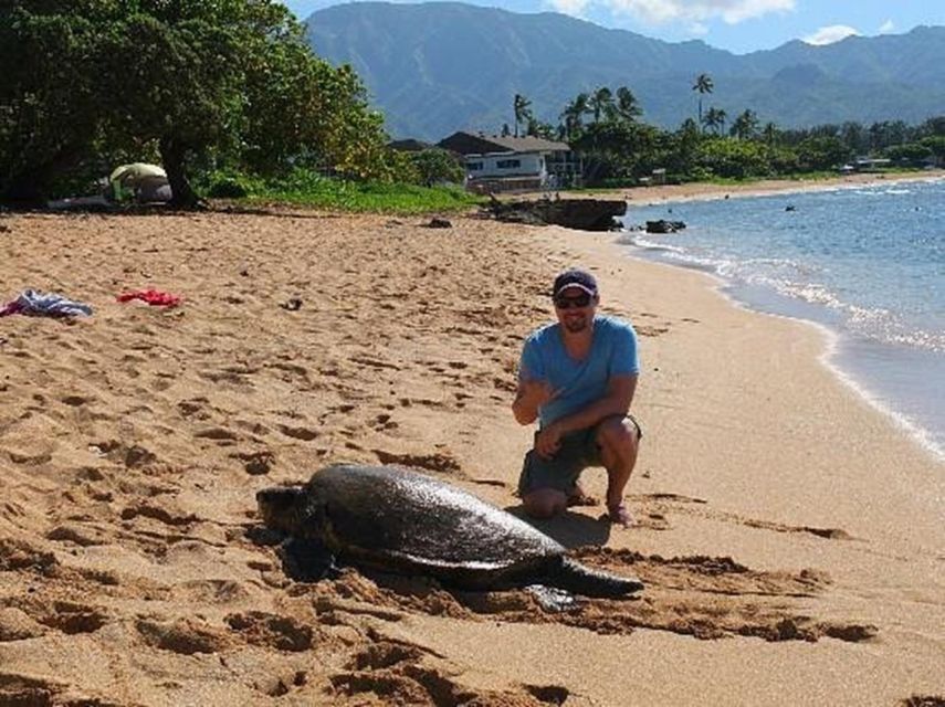 Circle Island: Swim with Turtles and Explore Paradise Oahu - Macadamia nuts at Tropical Farms