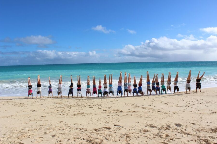 Circle Island: Swim with Turtles and Explore Paradise Oahu - A local lunch break and Fumi’s Kahuku Shrimp