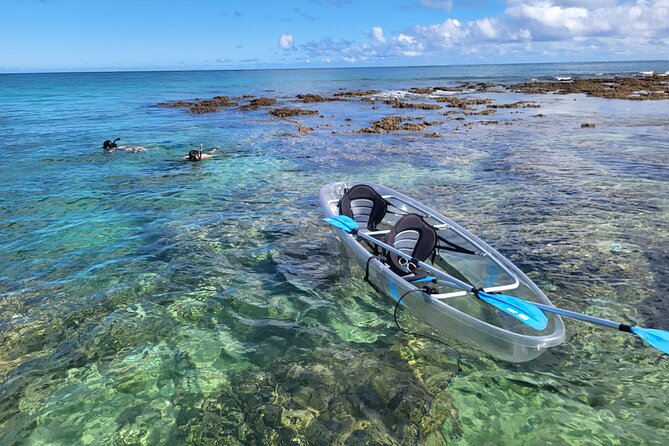 Clear Bottom Kayak - Guaranteed to see Turtles! - What makes this North Shore outing worth considering