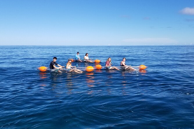 Clear Bottom Kayak - Guaranteed to see Turtles! - Meeting in Haleiwa and getting ready