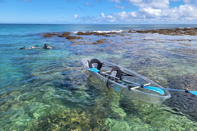 Clear Bottom Kayak - Guaranteed to see Turtles! - Looking for turtles, rays, dolphins, and whales