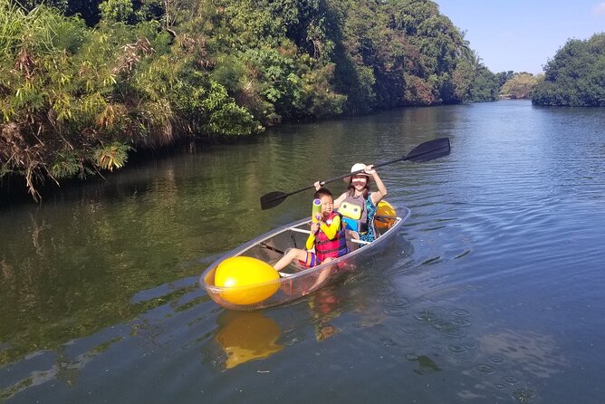 Clear Bottom Kayak - Guaranteed to see Turtles! - Who will enjoy this tour most