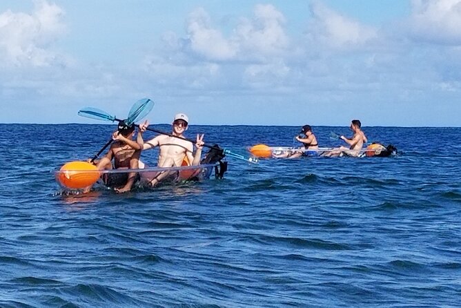 Clear Bottom Kayak - Guaranteed to see Turtles! - Timing, transport, and booking details