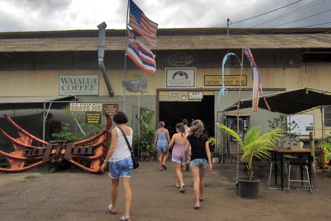 Custom Island Tour - for 4 to 5 people - up to 8 hours - Private tour of Oahu - Comfort, children, and the private van