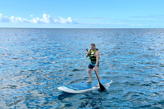 Deluxe Turtle Snorkeling Escapade at Waikiki - Six water activities, not six separate tours