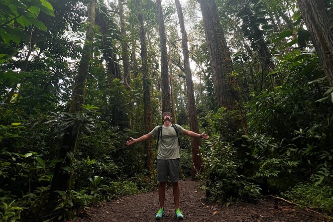 Diamond Head and Manoa Falls Hike and Adventure Tour - What the Guide Adds, and Where the Tour May Fall Short