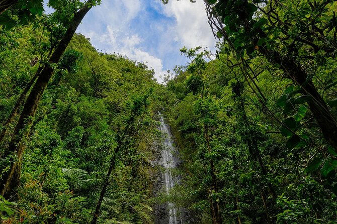 Diamond Head and Manoa Falls Hike and Adventure Tour - Is $149 Per Group a Good Deal?