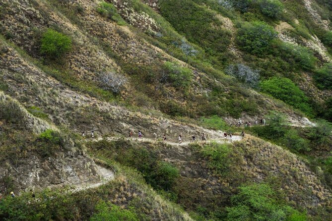 Diamond Head and Manoa Falls Hike and Adventure Tour - Who Will Enjoy This Honolulu Tour Most?