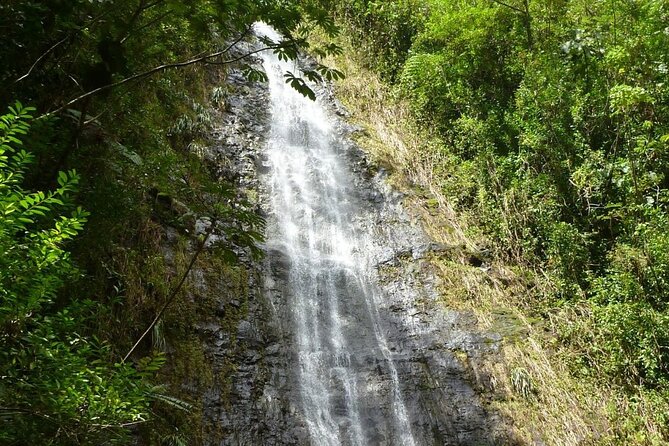 Diamond Head and Manoa Falls Hike and Adventure Tour - Manoa Falls Trail: A Short Walk Through Greenery