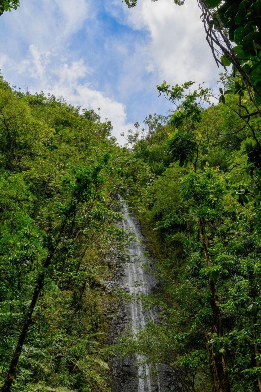 Diamond Head Manoa Falls - What the private vehicle adds