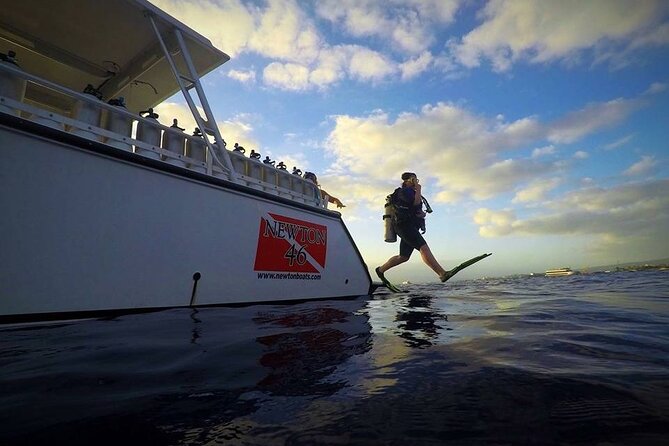 DISCOVER Scuba Diving Experience in Honolulu - The first reef: skills near Turtle Canyon