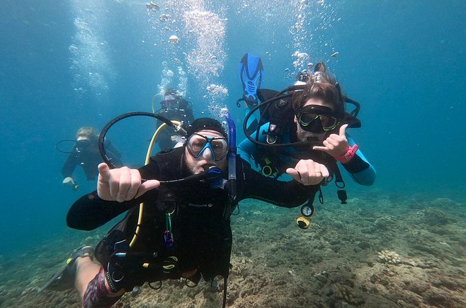 Discover Scuba Diving in Hawaii - Non certified divers! - How the Operation Feels in Practice