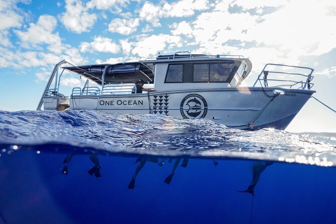 Dive with Sharks in Hawaii: Shark Tour from Haleiwa - The safety briefing is more than a formality