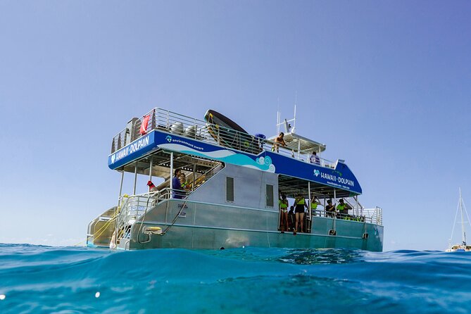 Dolphin Watch Cruise with Waterslide & Snorkeling on Oahu - Key points to know before booking
