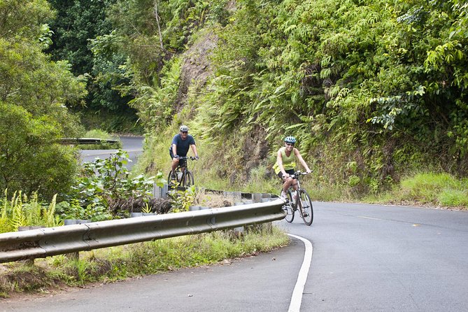 Downhill Bike and Ko'olau Waterfall Hike Tour - Key points at a glance