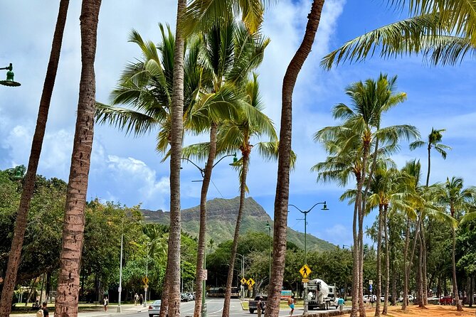 Downtown Honolulu Food Tour with 5 Local Favorites Tastings - Key points at a glance