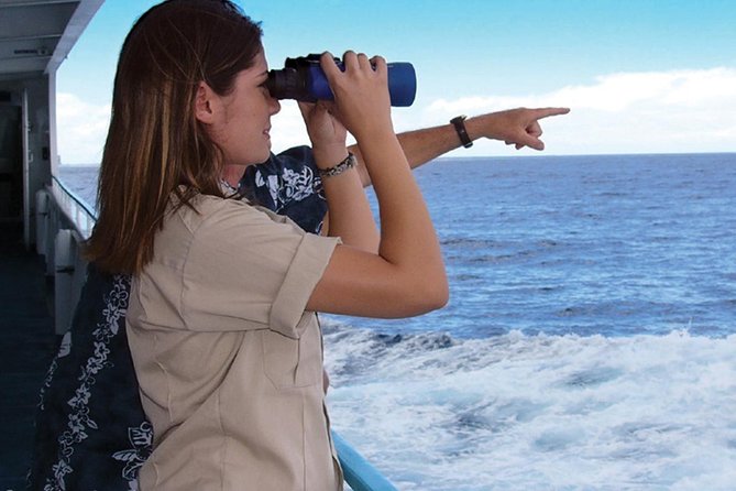 Early Bird Whale Watching Cruise from Waikiki - What the Star of Honolulu feels like on the water
