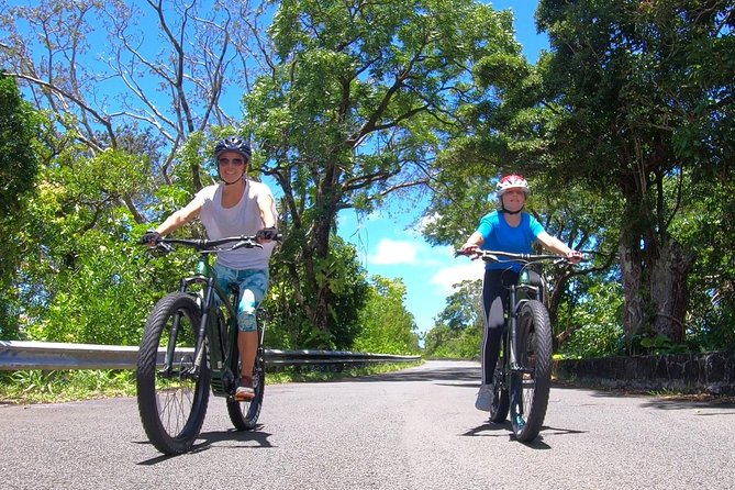 eBike Tour Honolulu Rainforest - Leaving Honolulu for the Tantalus Rainforest