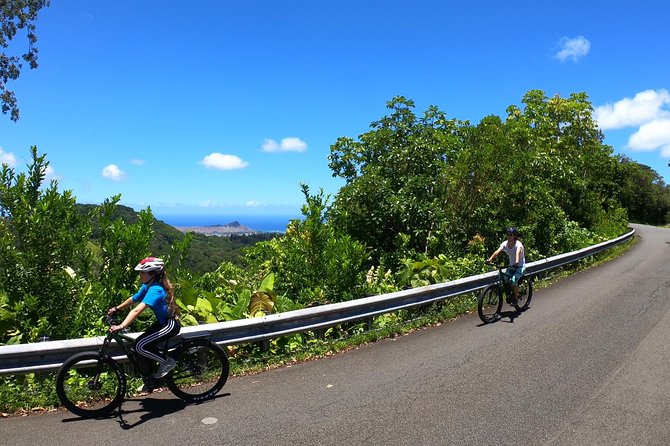 eBike Tour Honolulu Rainforest - How the Kona E-Bikes Handle the Climb