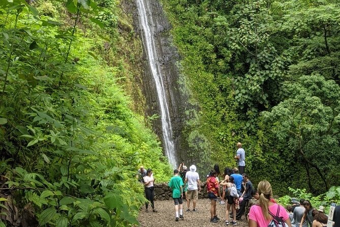 Electric Bike Ride & Manoa Falls Hike Tour - What the $199 price includes
