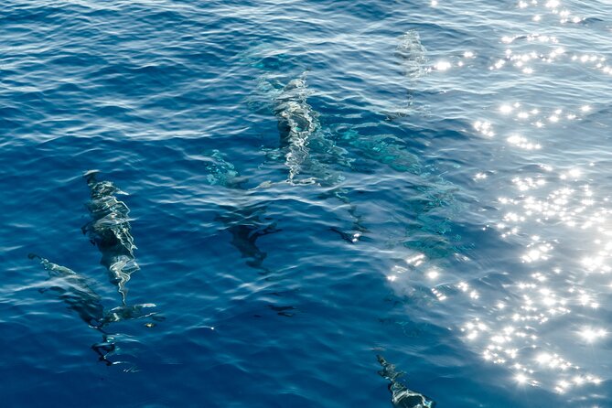 Exclusive Waikiki Yacht Snorkel with Lunch and Bevs - Snorkeling at a quieter reef
