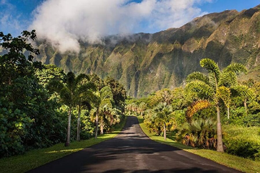 Explore Oahu in a Polaris Slingshot - Starting at International Market Place in Waikiki