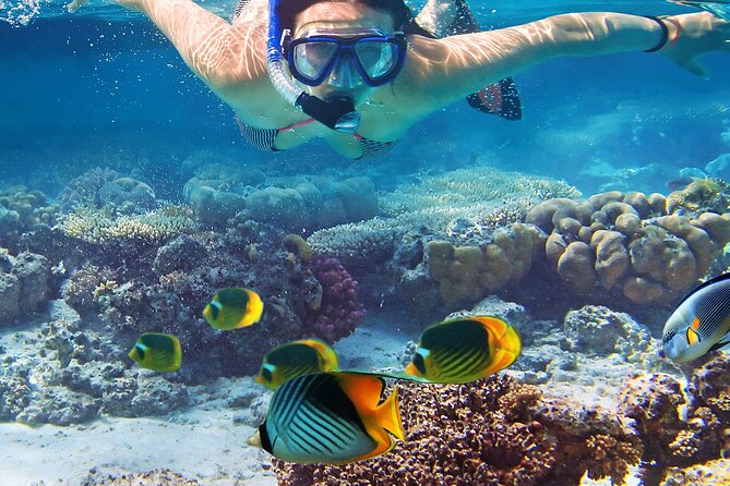 Explore Turtle Canyons Waikiki Snorkel and Sail Adventure - A private sailing outing from Honolulu