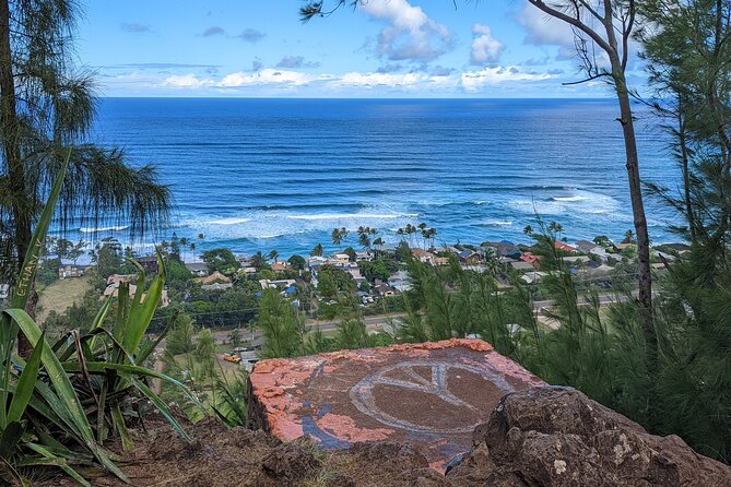 Famed North Shore Tour - Why this North Shore tour works best as a private day