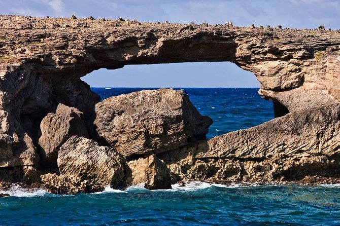 Family-Friendly Private Circle Island Tour of Oahu - What the guides add to the day