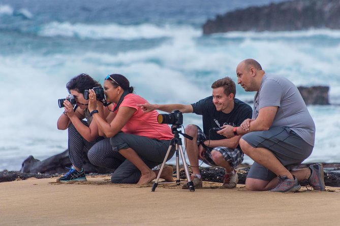 First Day Must: Oahu Sunrise & Circle Island Adventure - Kualoa Regional Park and Kāneʻohe Bay views