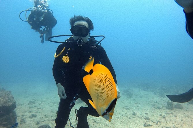 First Time Introductory Scuba Dive - Why groups of one to four make a difference