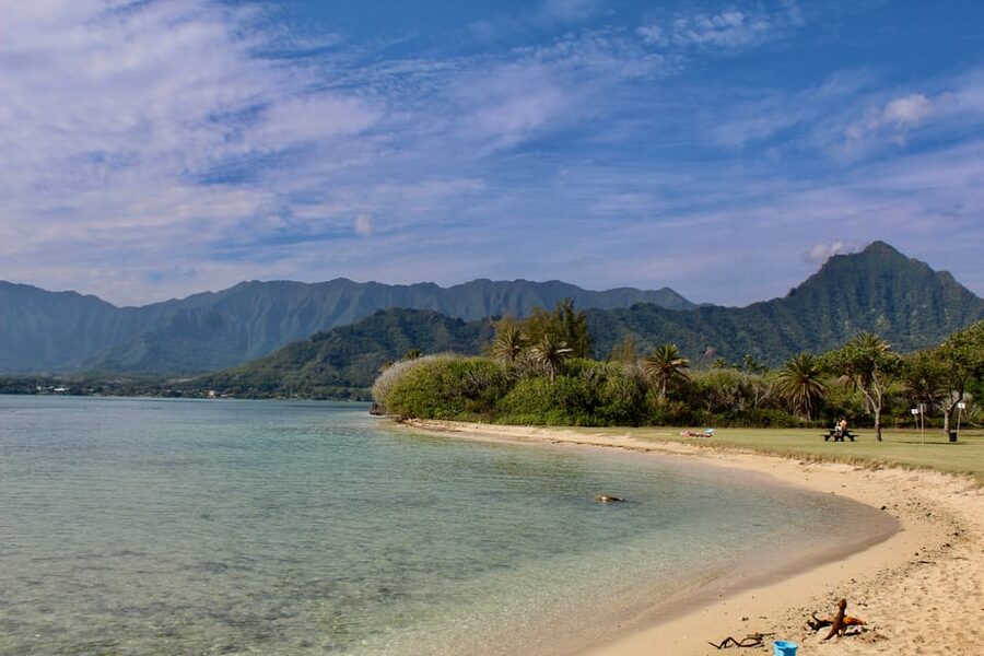 From Honolulu: Epic Island Tour - Tropical Farms and local samples