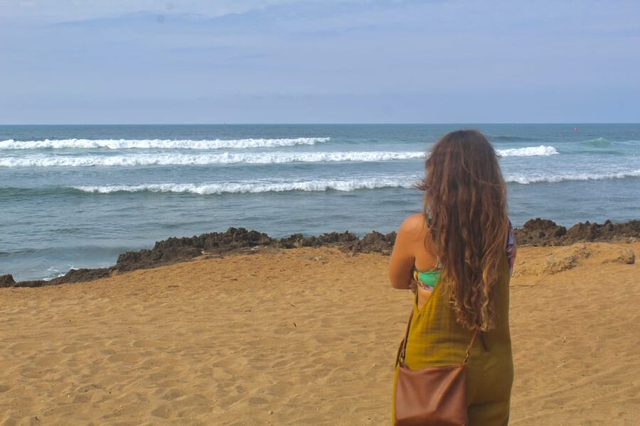 From Honolulu: Epic Island Tour - Dole Pineapple Plantation closes the loop