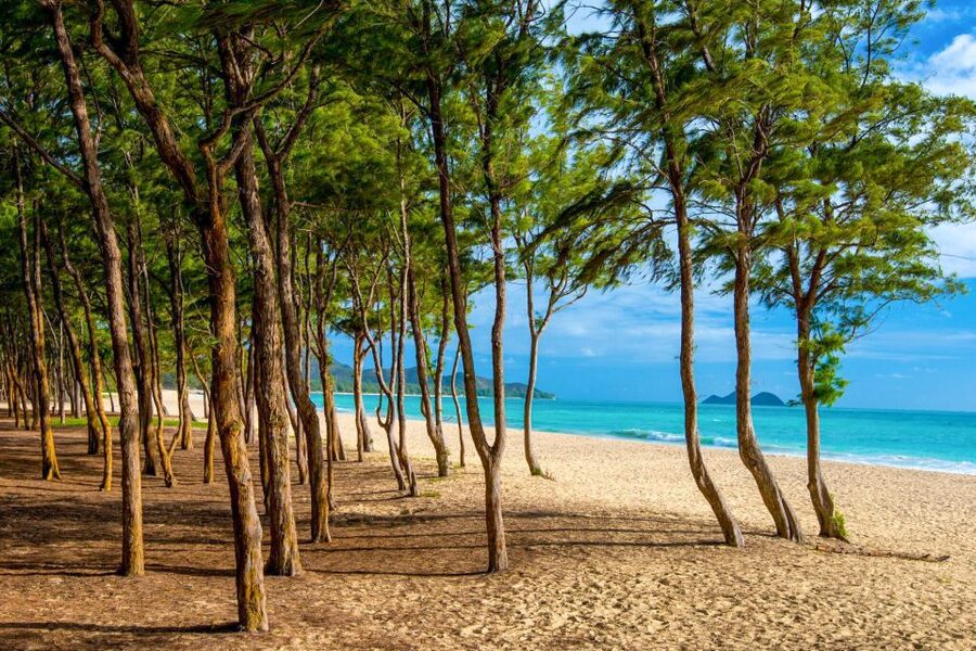 From Waikiki: Best of Oahu Photo Tour with Pickup - Finishing with Hawaii Kai and a Leonard’s malasada