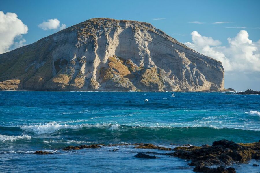 From Waikiki: Best of Oahu Photo Tour with Pickup - Practical details that can save you trouble