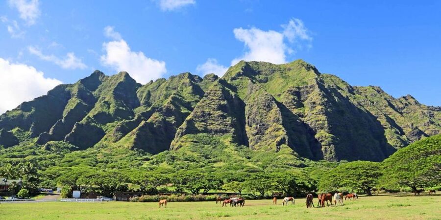 From Waikiki: Circle Island Tour - East Oahu begins with ocean drama