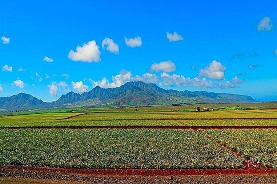 From Waikiki: Oahu Grand Circle Island Experience - Kualoa and the windward coast