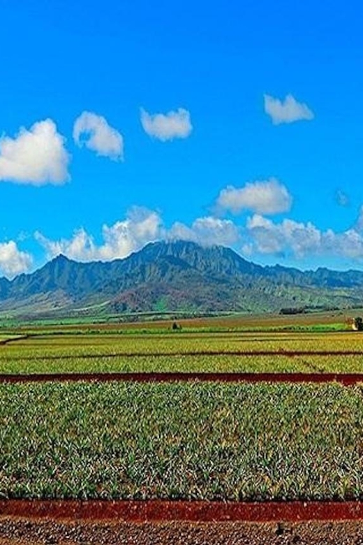 From Waikiki: Oahu Grand Circle Island Experience - Timing, pickup, and what to bring