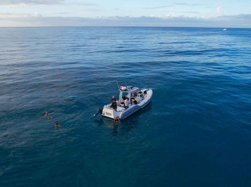 From Waikiki: Turtle Canyon Snorkeling Tour - Gear, flotation, and time in the water